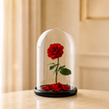 Eternal Red Rose – single preserved red rose under a glass dome