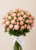 Wholesale Cream Blush Spray Roses