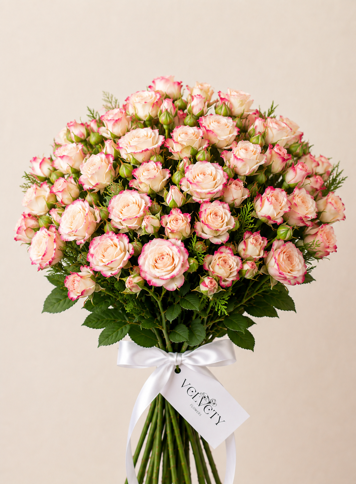 Wholesale Cream Blush Spray Roses