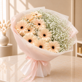 Peach Gerbera Cloud - Velvety Flowers